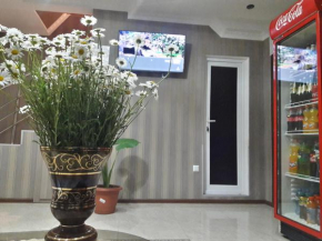 My House, Akhaltsikhe